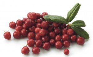 canneberges