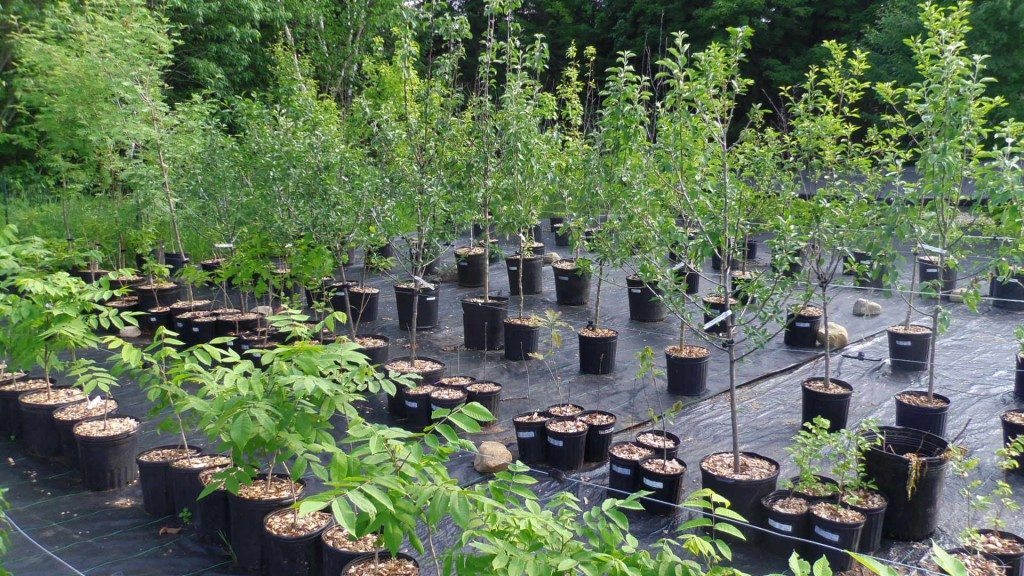 PHOTO : Croque Paysage