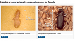 Capture d’écran 2013-10-10 à 11.16.38