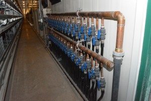 La géothermie génère 1 800 000 BTU/heure.