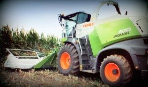 Claas Jaguar 800