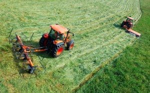 Kubota