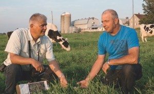 Jean-Louis Vignola discutant avec Marquis Caouette de Ferme Caouettale du semis de printemps de tre?fle ladino dans une de ses parcelles de pa?turage. Photo: Alain Fournier.