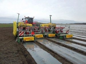 8 Row canada