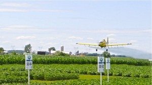 journée syngenta