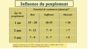 Photo fournie par Jean-Yves Cloutier.