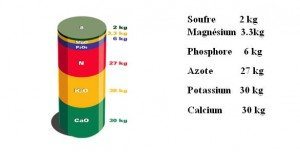 Photo fournie par Jean-Yves Cloutier.