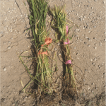 Screen Shot 2014-09-04 at 11.56.44 AM