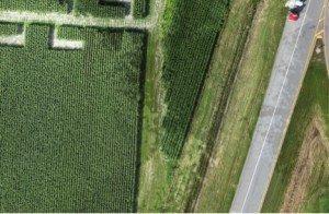 En haut, au centre, le maïs a souffert de compaction du sol. Image : Denicourt arpenteurs-géomètres