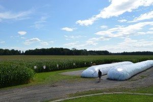 Sur la plateforme, un silo-boudin de la récolte 2014 attend en prévision de l'alimentation d'automne. À droit, il s'agit d'un boudin d'ensilage d'herbe.