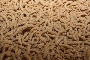 Le tourteau de soya obtenu.