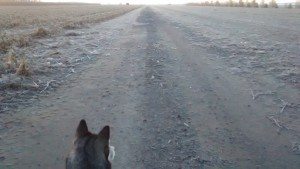 IMG_20151110_062350680