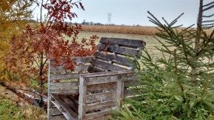 IMG_20151101_071200477_HDR