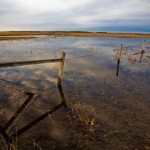Standing water in a field