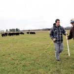 Les pâturages, les champions en captation de carbone