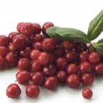 De bonnes perspectives pour les petits fruits