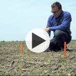 Tout se joue à l&rsquo;émergence