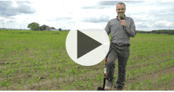 Évaluer votre population