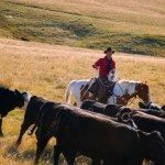 Les familles encore centrales en agriculture aux États-Unis