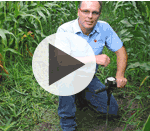 Comment diagnostiquer un sol compacté