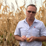 Les conséquences du gel sur le rendement