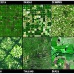 Les champs vus du ciel.
Source: Syngenta