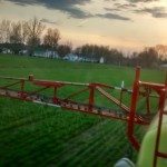 Application d'azote dans le blé en mai 2015.