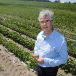 Comment lutter contre la sclérotinia du soya avec un fongicide?