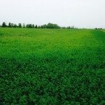 Peut-on rendre la sécheresse moins sèche ?
