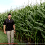 Bientôt mieux armé pour combattre les mauvaises herbes