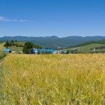PHOTO: FERME BARJO