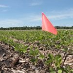 Parcelle de soya à taux variable