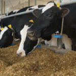 Nutreco complète l’acquisition de Hi-Pro Feeds