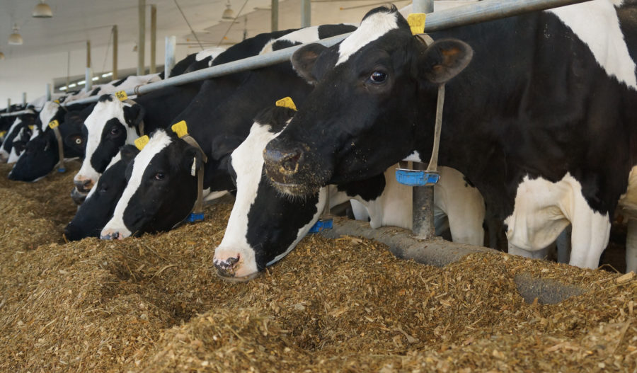 Nutreco complète l’acquisition de Hi-Pro Feeds
