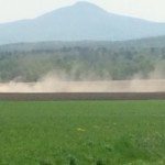 Marché des grains: Le beau temps rime avec faibles prix