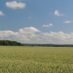 Agenda agricole du 6 au 12 novembre