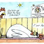 Bronzette à la ferme