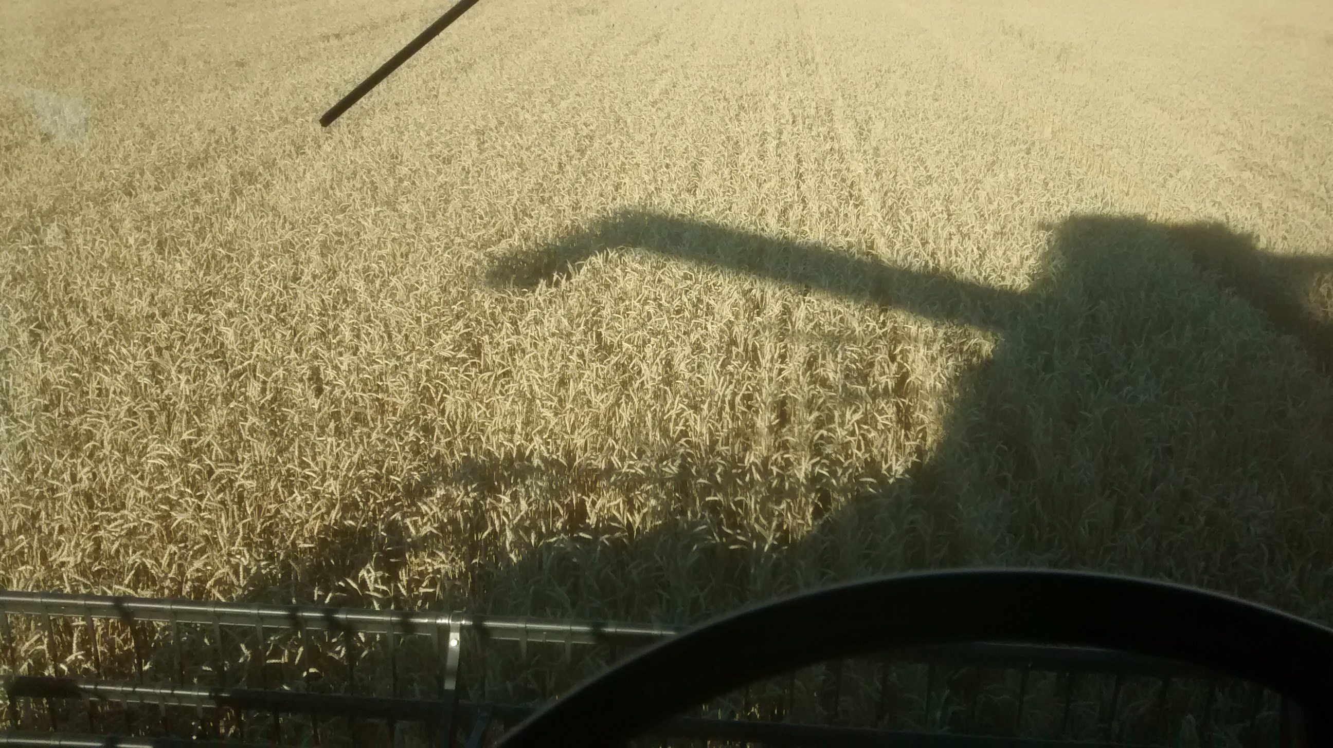 March&eacute; des grains: Le soya &agrave; son niveau le plus bas en cinq mois