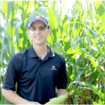 Les causes et les impacts du col d&rsquo;oie dans le maïs