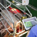 L’édition de décembre du Bulletin est prête