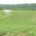 Quelle méthode d’acquisition d’images est la plus efficace: Le drone ou le satellite?