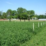 PH0TO: AGRICULTURE ET AGROALIMENTAIRE CANADA