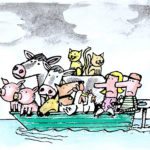 Pluie : passer en mode solution!