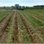 Pourquoi les champs ne sèchent pas cette année