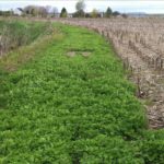 Programme Alus Montérégie : plus de 15 hectares seront aménagés en 2017