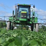 Herbicide, soya et printemps mouillé