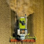 Marché des grains: les grains reculent pour une autre semaine