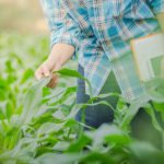 L’Ordre des agronomes célèbre son 80e anniversaire