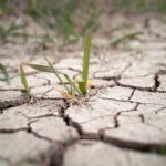 Le réchauffement climatique, principale menace mondiale