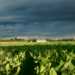 Pesticides interdits!